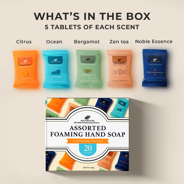 Foaming Hand Soap 20 Tablets Assorted Scent
